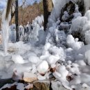120.산림욕장_1 네이버블로그