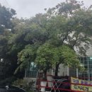 다경 숯불구이 이미지