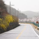 어은1리마을회관 이미지