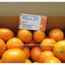 하람농장 | 하람이네 농장 감귤 당첨 후기