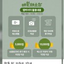 만장채소