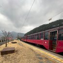 봉화군 보건소 | 분천산타마을 백두대간 협곡열차 타고 떠나는 분천역 걷기 여행 후기