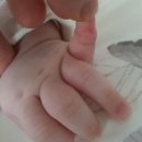 대인외과내과의원 이미지