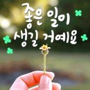 김양규한의원 이미지