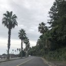 동홍약국 이미지