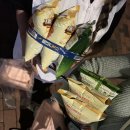 해류뭄해리 이미지