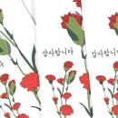 비니허그 네이버블로그