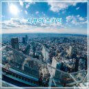 스카이2 | 시부야 스카이 오후 2시 방문 후기, 일몰 야경 예약 성공 방법