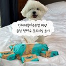 강아지물티슈추천 위랩 클린 펫티슈 오리지널 후기