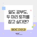 일과 학업을 동시에! 동원과기대 헤어디자인과 입학 정보 총정리