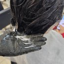 더보보헤어