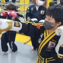 평산관 합기도 이미지