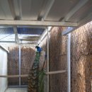 경북야생동물구조관리센터 이미지