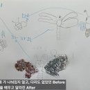 피카부미술학원