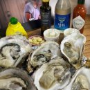 굴안 | 달빛도마 생 굴 배송 | 삼배체굴, 바위굴 내돈내산 주문 후기 (생 굴, 익힌 굴)