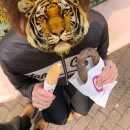 (주)에버 | 에버랜드 주말 토요일 죽음의 워킹사파리 후기 끼려옴 +두쫀팝 존맛⭐