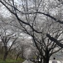 오섬권역농어촌체험휴양마을 이미지