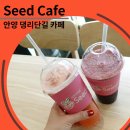 홀시드카페 - 666874 | 홀시드카페