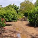 둥지농원 이미지