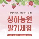 [전북/고창] 상하농원 (6) - 세번째 방문! 아이랑 딸기체험하고 왔어요