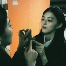 생생조개 이미지