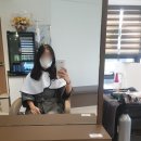 머리드비비 이미지
