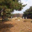 김양택 선생묘 이미지