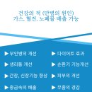 힐링다해소