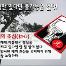 광 이미지