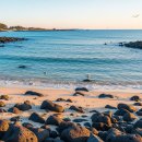 더멘션 | 제주 한달살기 숙소 추천, 오션뷰 미스터멘션 가격부터 후기까지 총정리