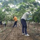 경산농업협동조합 이미지