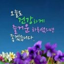 "가평군 '자라섬 꽃 페스타'을 찾아서"＜2023.10.06(금)＞ 이미지