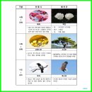 안동시, 예천군 공동개최 ＜제64회 경북도민체육대회＞ 상징물 공모 이미지