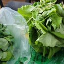 오로라가든 펜션 이미지