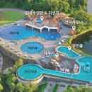 비바스호텔 | 제주수영장호텔추천 에코랜드호텔 수영장 풀스낵바 이용 후기 풀사이드바 치맥추천