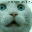 어쭈
