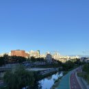 쉐프밥버거 광운대점 이미지