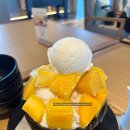 코코넛인테리어And망고테크 | [다낭] 신라호텔 망고빙수, An Thoi, 성당, 코코넛디저트, ge cafe, 하얏트 리젠시 호텔 후기