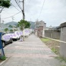 야옹아놀자 순천점 이미지