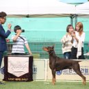 현실 Daum카페