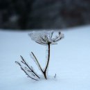 착한세상 이미지