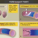 상용화가 시급한 획기적인 남성피임법 이미지