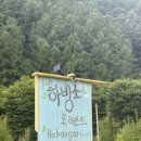 하방소 포레스트 이미지