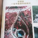 남경 이미지