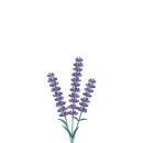 디지털드로잉과 굿즈 제작 이미지