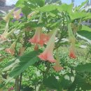 정호민박 이미지