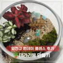 건강힐링문화관 | 양천구 건강힐링센터 원데이 클래스 테라리움 만들기, 관리법