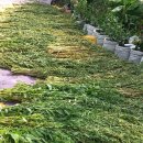 대강경로당 이미지