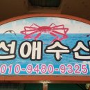 선애수산