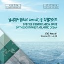 대서양 이미지
